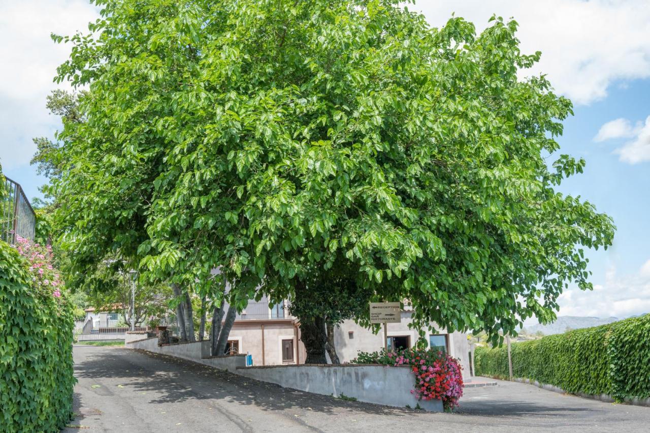 Santoro Country House Otel Castiglione De Sicilia Dış mekan fotoğraf